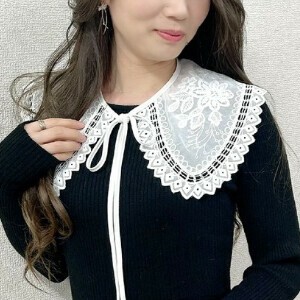 春夏 新作 付け襟 レース つけえり つけ襟 和柄 入学式 卒業式 人気 ひんやり 暑さ おしゃれ 即納