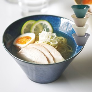Mino ware Donburi Bowl Donburi L 17cm NEW Made in Japan