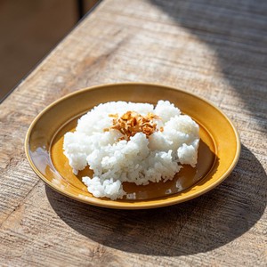深山(miyama.) スープのカレー皿 ライス皿 ブラウン(プルー21cmサラダプレート)[日本製/美濃焼/洋食器]