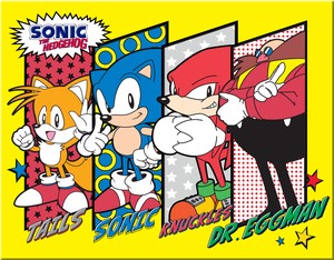【アメリカン キャラクター】ティン サイン Sonic Panels DE-MS2823