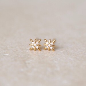 〔SV925〕ヴィーナスピアス（pierced earrings）