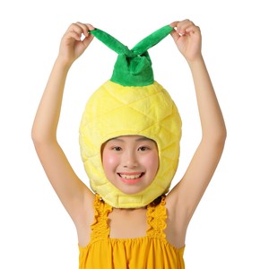 Costume Pineapple