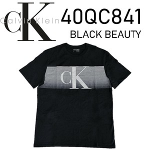 CALVIN KLEIN(カルバンクライン) Tシャツ 40QC841
