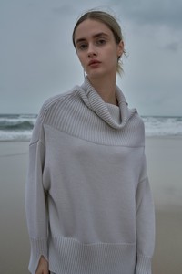 Sweater/Knitwear Lame