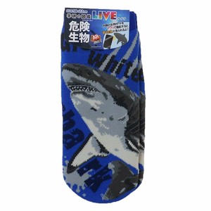 【靴下】学研の図鑑LIVE 危険生物 ジュニアソックス ホオジロザメ