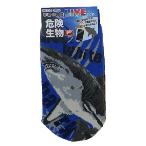 【靴下】学研の図鑑LIVE 危険生物 キッズソックス ホオジロザメ