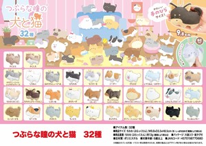 Animal/Fish Plushie/Doll Stuffed toy Tsuburana Hitomi no 32-types