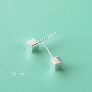 Pierced Earringss Design sliver