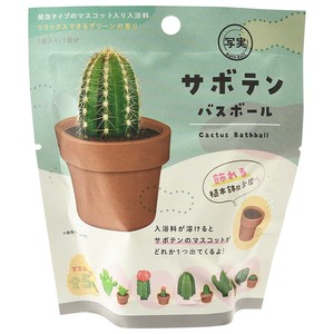 写実食品　サボテン バスボール