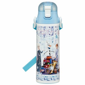 超軽量コンパクト 2WAYステンレスボトル 580ml  アナと雪の女王 (24) スケーター SKDC6