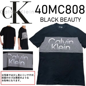 CALVIN KLEIN(カルバンクライン) Tシャツ 40MC808