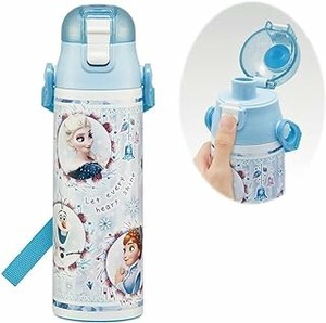 Water Bottle Frozen 580ml