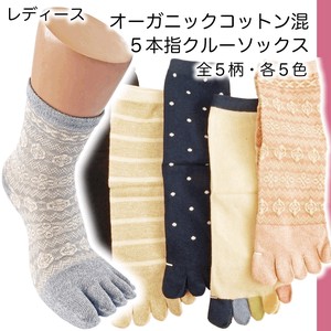 Crew Socks Socks Ladies' Organic Cotton
