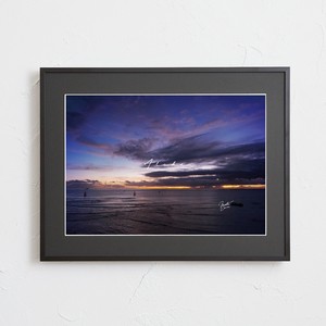 Poster Sunset