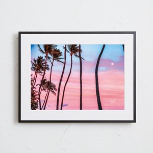 Poster Sunset