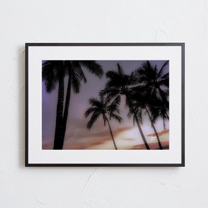 【おしゃれアートポスター】ハワイ サンセット 夕焼け ヤシの木 風景 景色 写真 photo A4 A3 A2