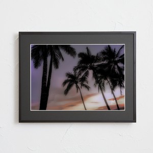 Poster Sunset