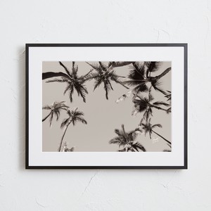 Poster Monotone