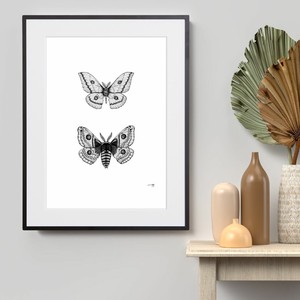 【おしゃれアートポスター】蝶々 昆虫 線画 ドローイング モノトーン イラスト A4 A3 A2