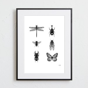 海报 插画 黑白