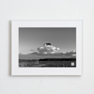 Poster Monotone