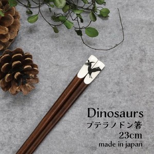 筷子 恐龙 动物 翼龙 23cm 日本制造