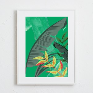 【おしゃれアートポスター】ボタニカル 観葉植物 イラスト GR A4 A3 A2