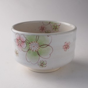 Mino ware Japanese Teacup Matcha Bowl Modern Cherry Blossoms Green Made in Japan