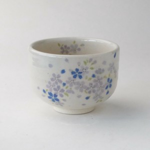 Mino ware Japanese Teacup Made in Japan