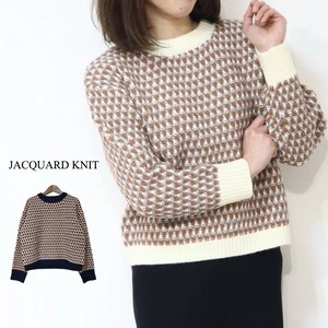 Sweater/Knitwear Pullover Jacquard Geometric Pattern Knitted