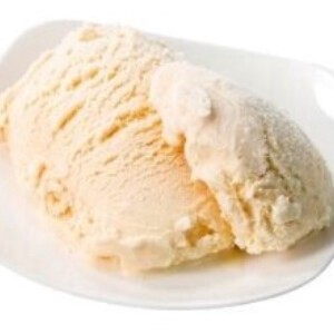 【フランス産アイスクリーム】バニラ・グラス（業務店限定商品）※送料込