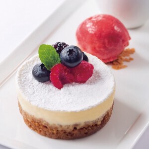 【フランス産冷凍ケーキ】チーズケーキ・スペキュロス（業務店限定商品）※送料込