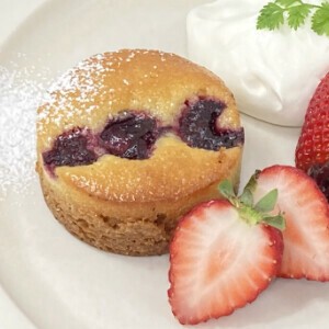 【フランス産冷凍ケーキ】ミニサブレ・フリュイルージュ（業務店限定商品）※送料込