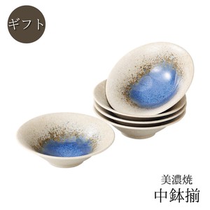 ギフト　青水彩輪二重　平鉢揃 日本製 美濃焼