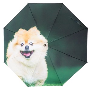 雨伞 博美犬 经典款 人气商品 60cm