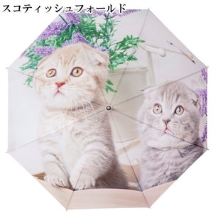 Umbrella Cat 60cm