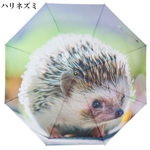 Umbrella Hedgehog Printed 60cm