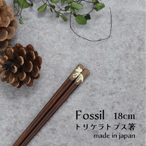 【Fossil　トリケラトプス箸】恐竜 箸 18cm 日本製 ［こども箸］［動物］