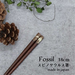 【Fossil　スピノサウルス箸】恐竜 箸 18cm 日本製 こども箸（動物）