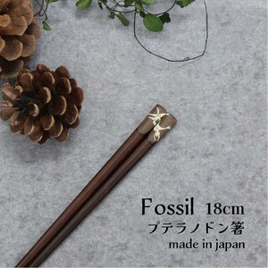 【Fossil　プテラノドン箸】恐竜 箸 18cm 日本製 こども箸（動物）