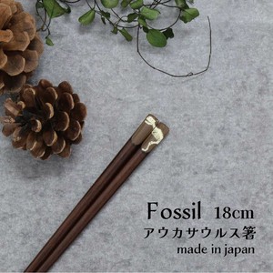 【Fossil　アウカサウルス箸】恐竜 箸 18cm 日本製 こども箸（動物）