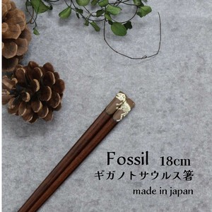 【Fossil　ギガノトサウルス箸】恐竜 箸 18cm 日本製 ［こども箸］［動物］