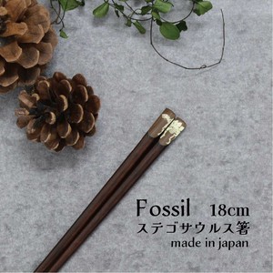 【Fossil　ステゴサウルス箸】恐竜 箸 18cm 日本製 ［こども箸］［動物］