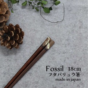 【Fossil　フタバリュウ箸】恐竜 箸 18cm 日本製 ［こども箸］［動物］