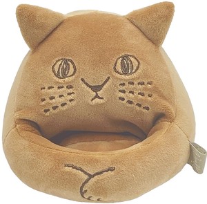 Basket Brown Cat