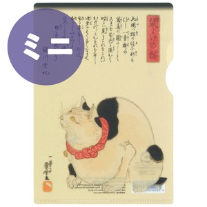 资料夹/文件夹 迷你 透明资料夹 透明