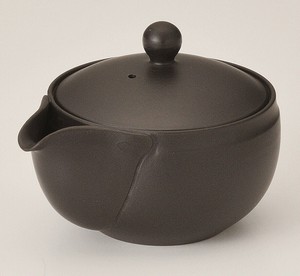 Tokoname ware Japanese Teapot Tea Pot