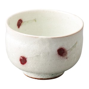 Shigaraki ware Rice Bowl Cherry