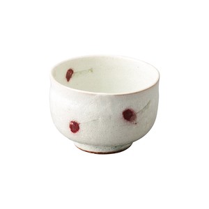 Shigaraki ware Rice Bowl Cherry