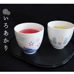 Japanese Teacup Colorful 2024 NEW